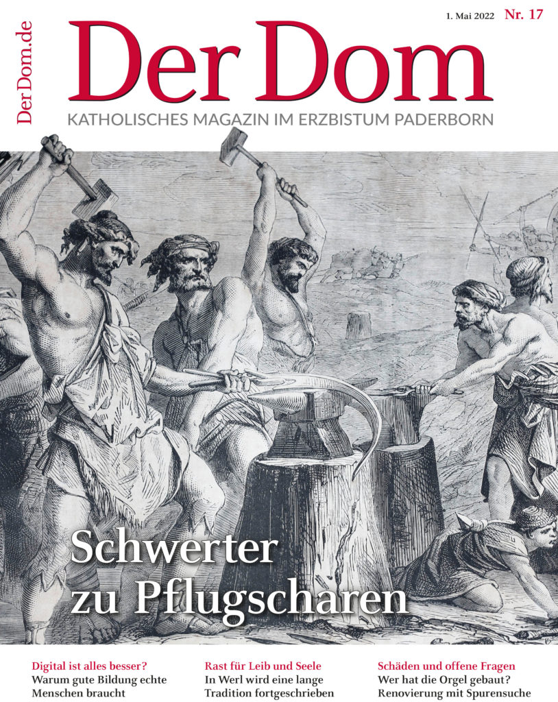 Dom Cover 17/22
