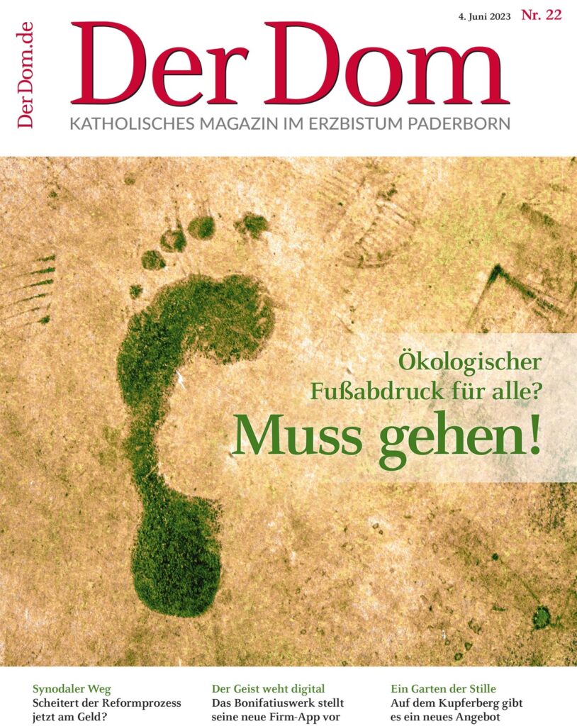 Dom Cover Ausgabe Nr. 22 / 2023
