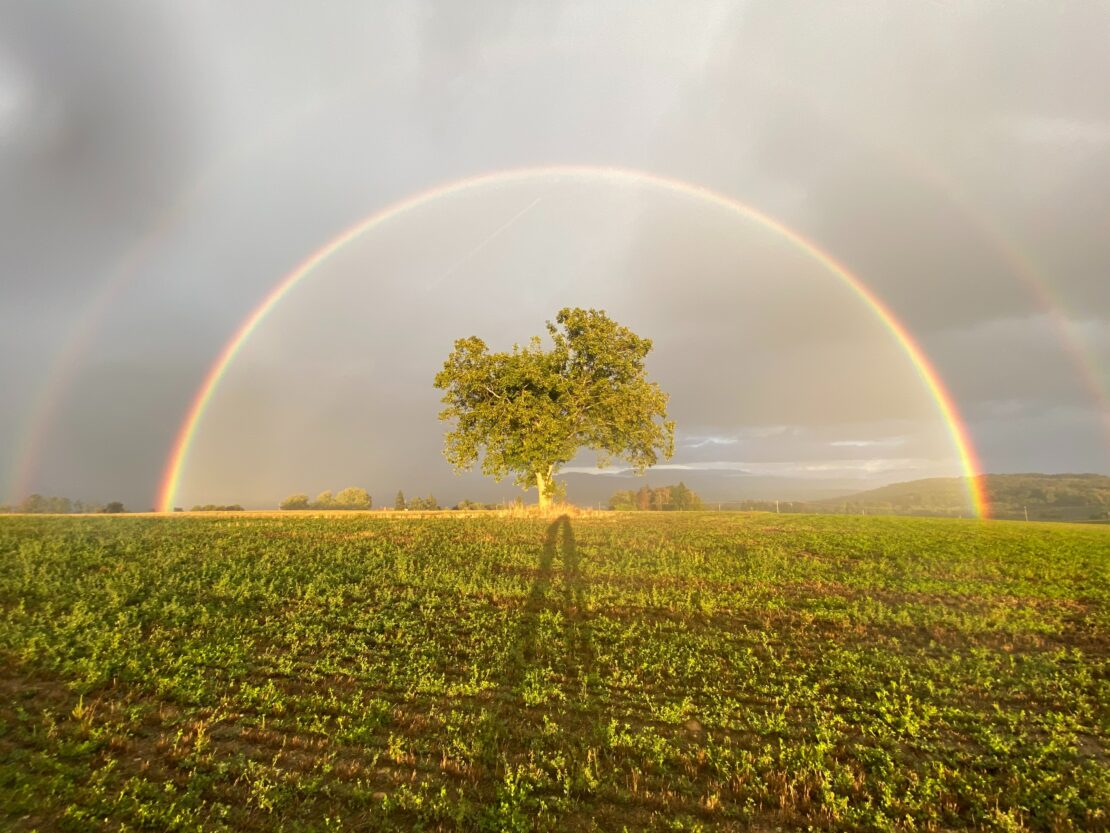 Der Regenbogen als Zeichen. (Foto: Unsplash)