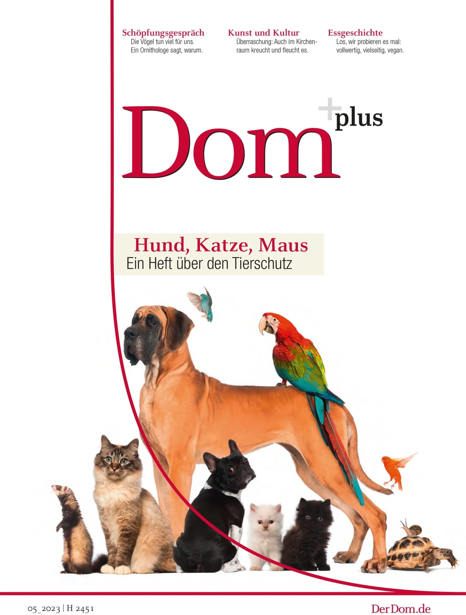 Dom Plus Magazin - Hund Katze Maus